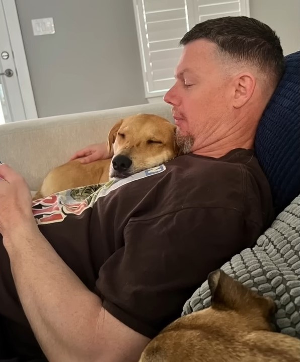 A Puppy’s Journey from Abandonment to Becoming Dad’s Cherished Princess-1