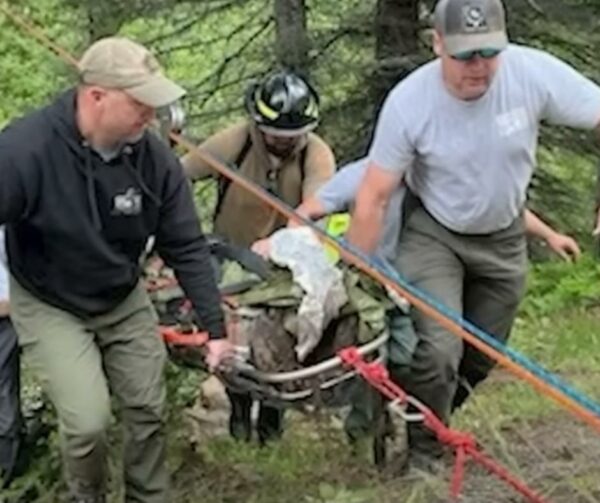 An Unbreakable Bond: How One Dog's Heroic Journey Through the Wilderness Saved His Owner-1