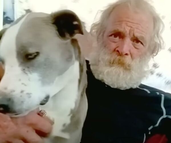 An Unbreakable Bond: How One Dog's Heroic Journey Through the Wilderness Saved His Owner-1