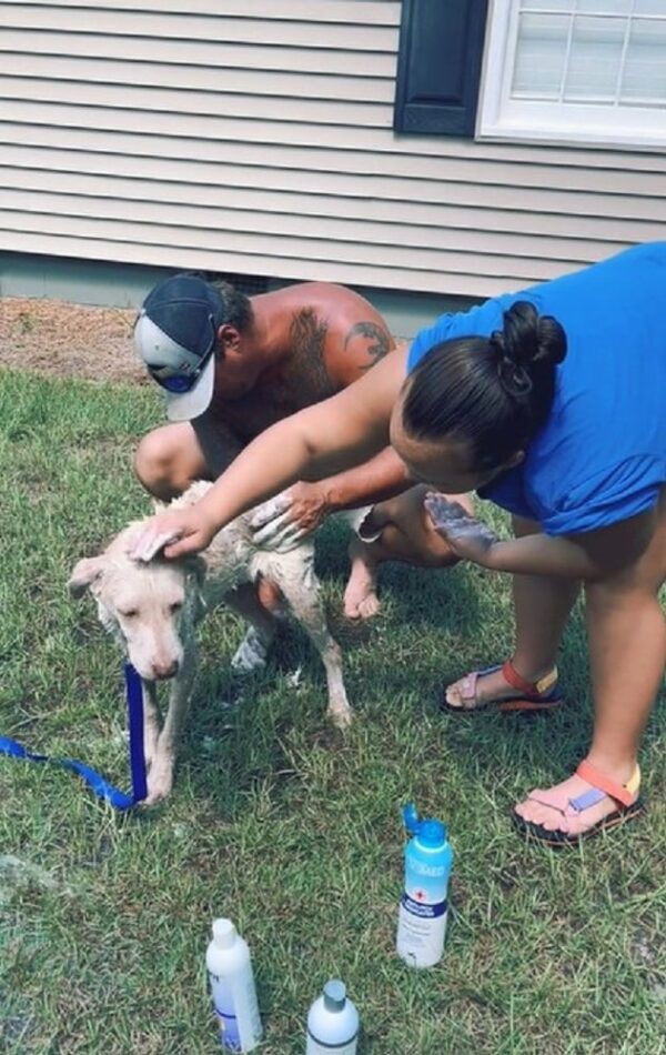 An Unexpected Guest on the Doorstep: What She Found Will Melt Your Heart-1