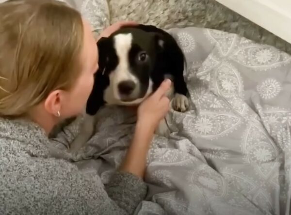 Anxious Puppy Finds Hope in the Most Unexpected Way-1