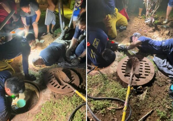 Firefighters Rush to Save Stranded Dog in Heart-Stopping Rescue-1