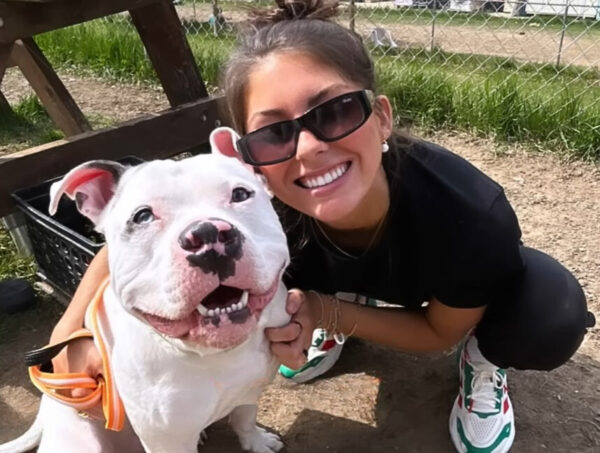 From Tragedy to Triumph: The Emotional Journey of a Homeless Dog and a Devoted Volunteer-1