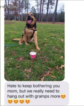 Grandpa Babysits Dog: The Texts That Melted Our Hearts-1