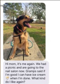 Grandpa Babysits Dog: The Texts That Melted Our Hearts-1