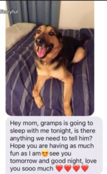 Grandpa Babysits Dog: The Texts That Melted Our Hearts-1