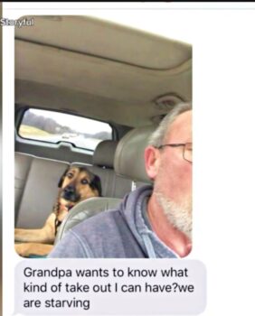 Grandpa Babysits Dog: The Texts That Melted Our Hearts-1