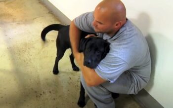 The Unseen Bond: What Happens When a Dog Meets an Inmate?-1