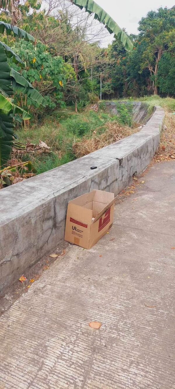 Unbelievable Discovery on a Cycling Trail: What Was Inside the Box?-1