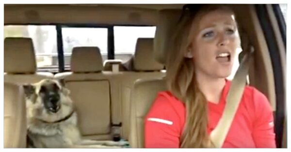 Dog and Mom’s Epic Carpool Karaoke Will Melt Your Heart-1