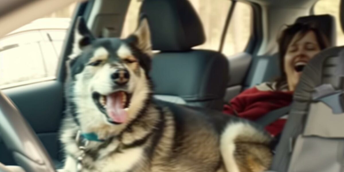 Dog and Mom’s Epic Carpool Karaoke Will Melt Your Heart