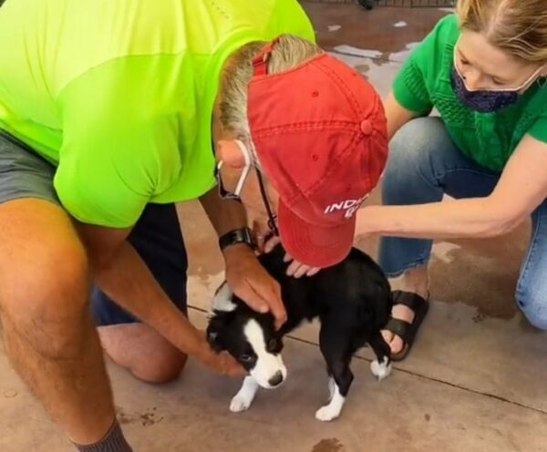 Man Waits Overnight to Adopt His Perfect Canine Companion-1