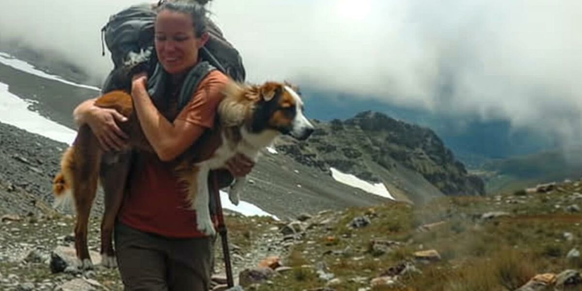 Single Mom's Epic 6-Hour Rescue of Injured Dog Will Leave You Speechless