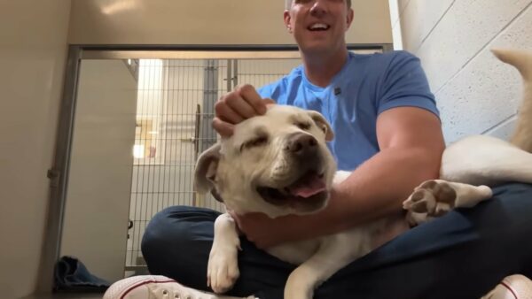 You'll Never Guess How This Blind Dog Reacts to Kindness-1