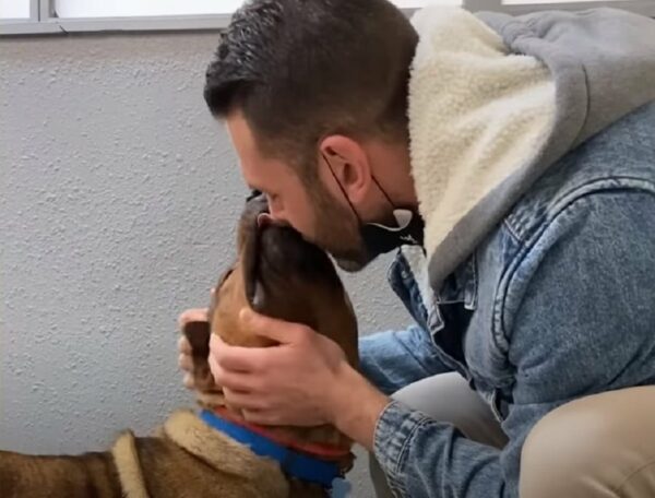 Abandoned 'Aggressive' Dog Forms Unbreakable Bond With New Dad—A Must-Read Journey-1