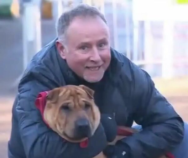 Dog Found Abandoned with Suitcase at Train Station Gets an Unbelievable Second Chance-1