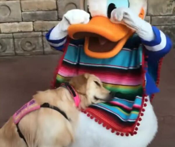 Dog's Magical Encounter with Disney Character Will Leave You Speechless!-1