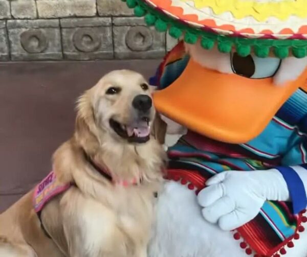 Dog's Magical Encounter with Disney Character Will Leave You Speechless!-1