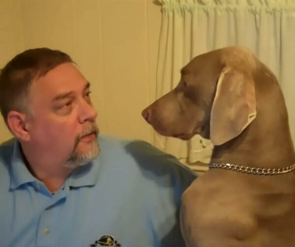 Emotional Rollercoaster: Dad's Ignoring Game with His Dog Gus Takes an Unexpected Turn-1