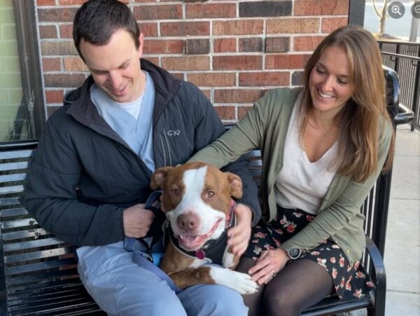 Rescued Pittie’s Joyful Transformation Will Melt Your Heart!-1