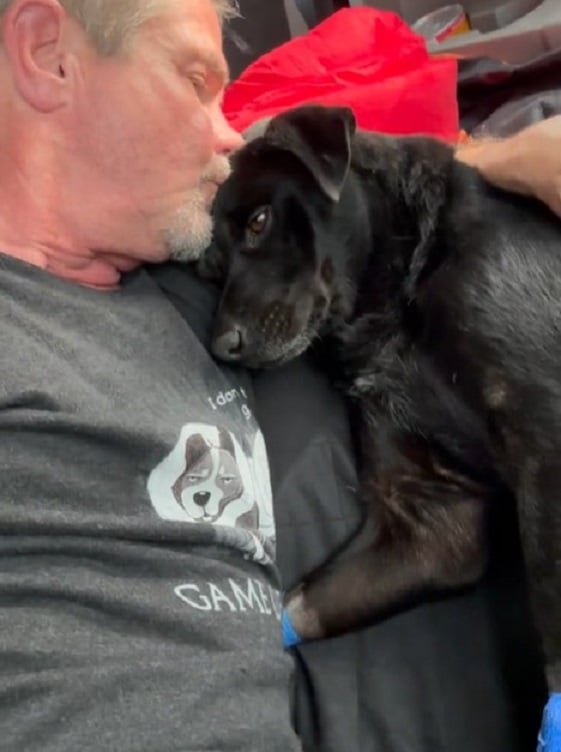 Rescuer's Heart Races After Discovering Lifeless Pup Has a Pulse!-1