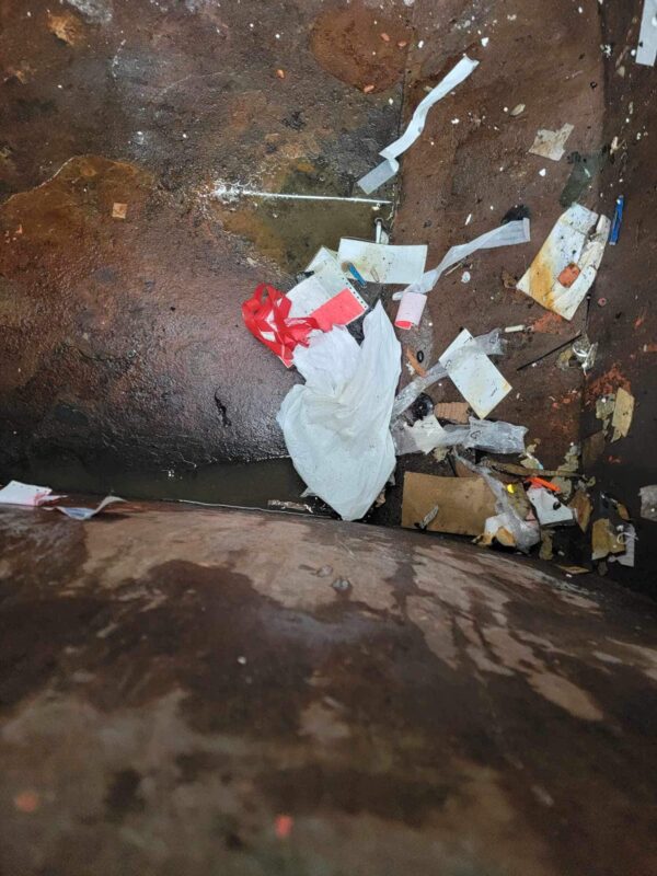 Rescuers Make Startling Discovery Inside Dumpster—You Won't Believe What They Found!-1