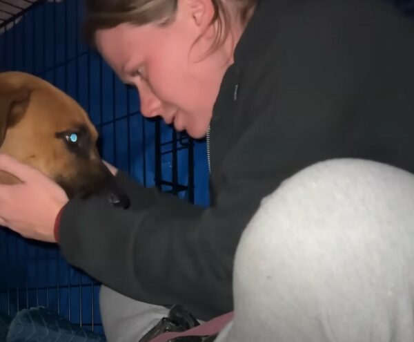 Rescuer's Promise Turns Abandoned Pup's Life Around!-1