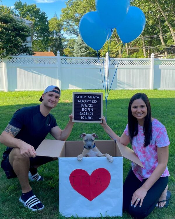 The Heartfelt Secret This Adopted Pitbull Hid From His New Family-1