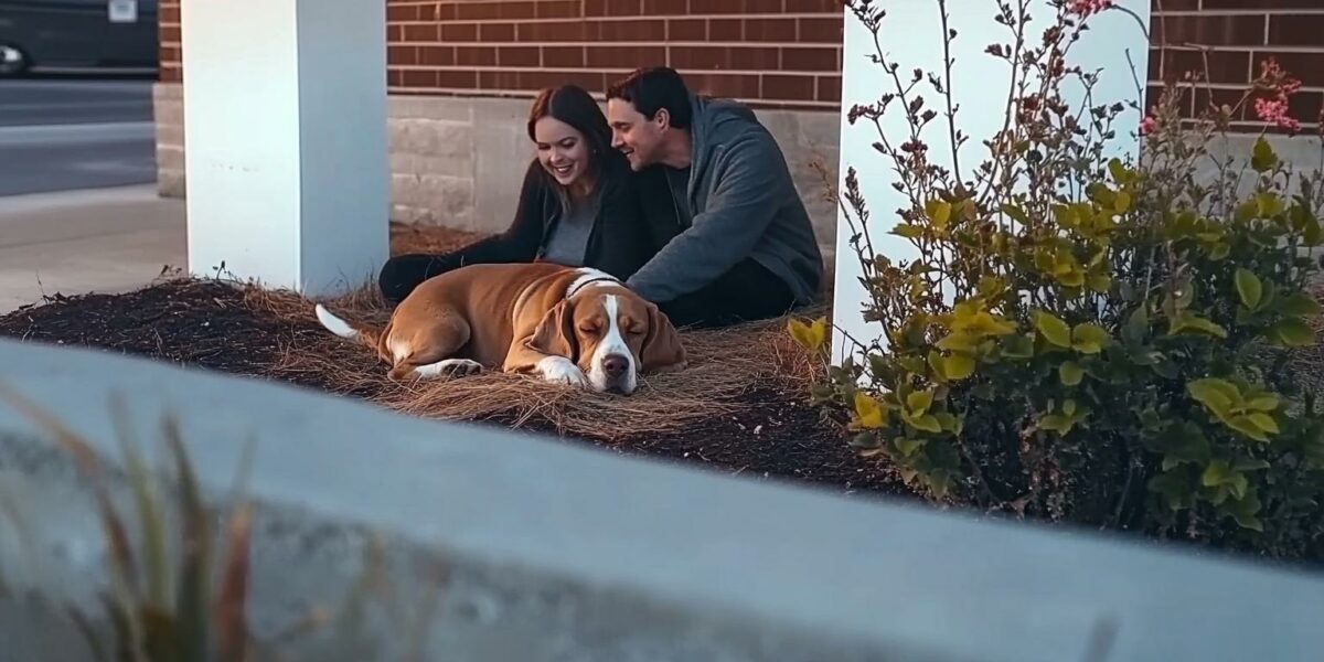 This Couple's New Home Hid an Incredible Secret That Left Them Speechless