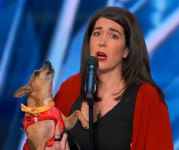 Tiny Dog's Unexpected Performance on National TV Will Leave You Speechless!-1