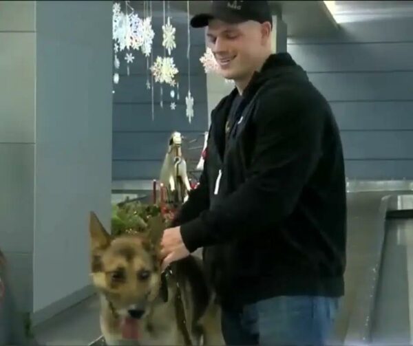 Unbreakable Bond: Military Dog and Handler's Tearful Reunion After Years Apart-1