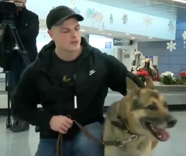 Unbreakable Bond: Military Dog and Handler's Tearful Reunion After Years Apart-1