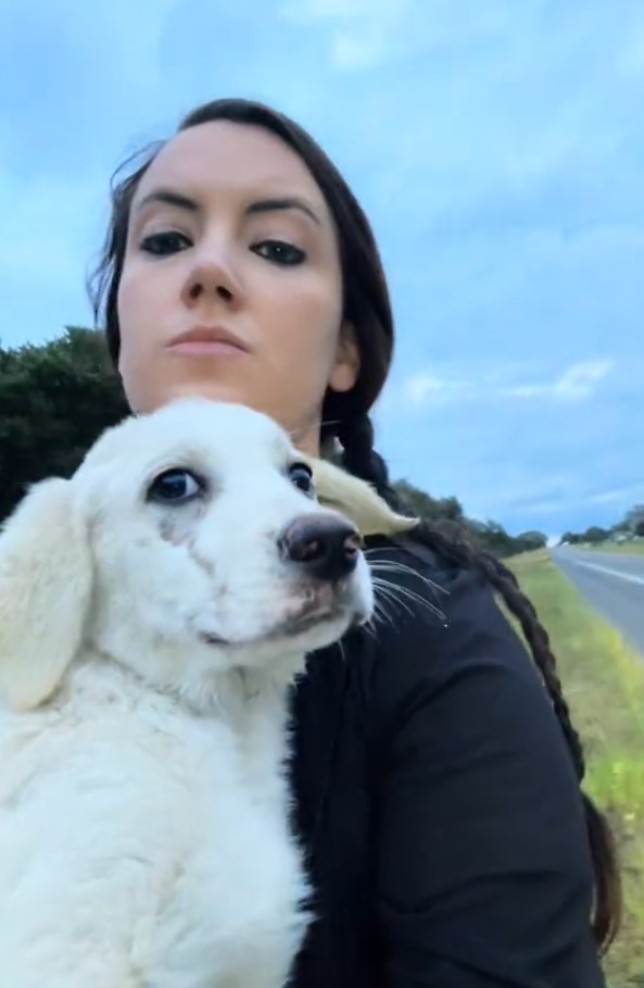 Woman's Unexpected Roadside Discovery Leads to Heartwarming Rescue Mission-1