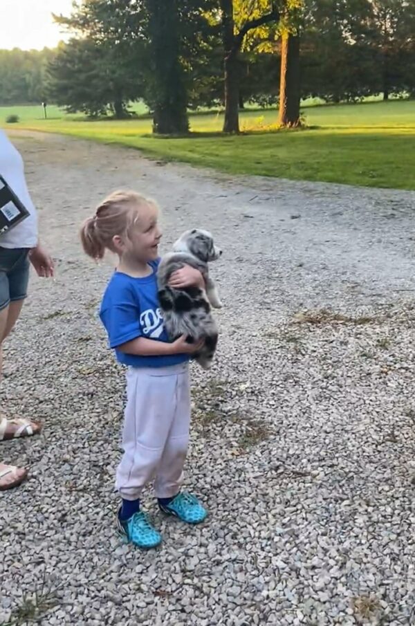 Granddaughter's Surprise Puppy Brings Grieving Grandpa To Tears-1