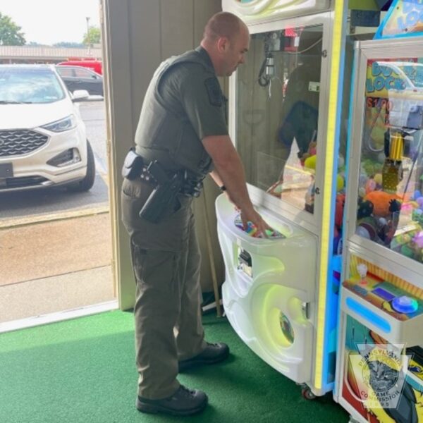 Kid Discovers Bizarre Surprise Inside Claw Machine That Left Everyone Stunned-1