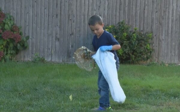 Little Boy's Unbelievable Quest to Adopt a Cat Will Leave You Speechless!-1