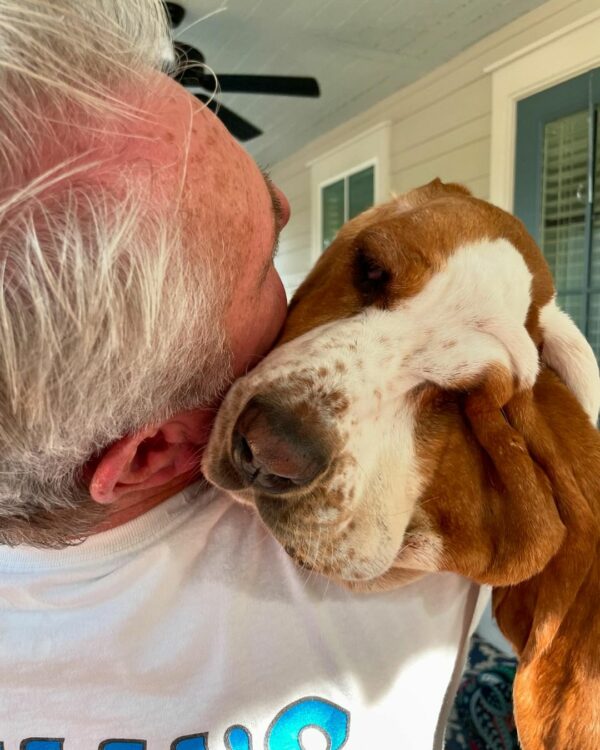 Man's Heart Melts When He Meets This Irresistible Basset Hound Puppy-1