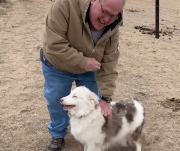 Miraculous Reunion: Disabled Dog's Unbelievable Reaction to Seeing Owner After a Year-1