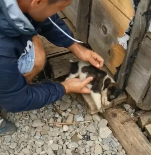 Rescuers Uncover Heartbreaking Scene at Construction Site, You Won't Believe What They Found!-1