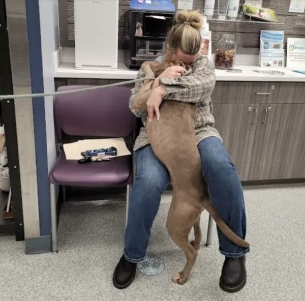 The Heart-Tugging Moment Shelter Dog Recognizes His True Name-1