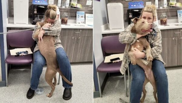 The Heart-Tugging Moment Shelter Dog Recognizes His True Name-1