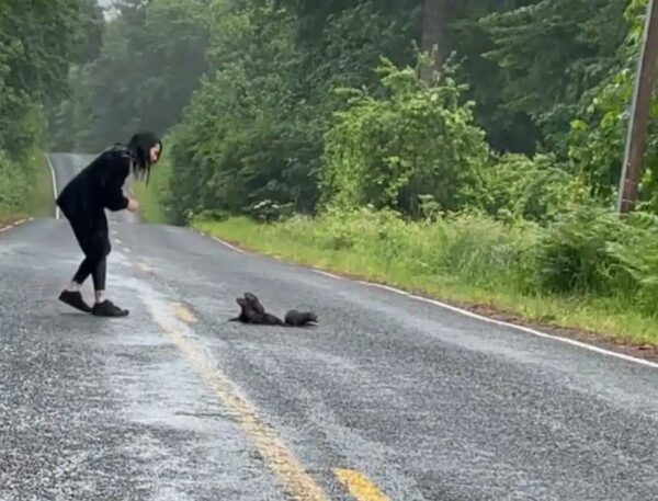 Woman's Roadside Rescue: The Unexpected Twist That Will Melt Your Heart-1