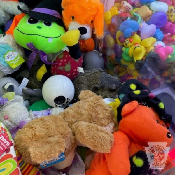 A Child's Arcade Discovery Unleashes a Furry Mystery Inside the Claw Machine-1