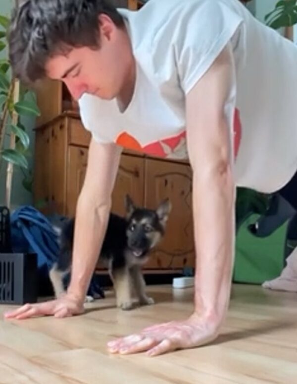 A German Shepherd Pup's Unexpected Obsession Leaves Owner Stunned!-1