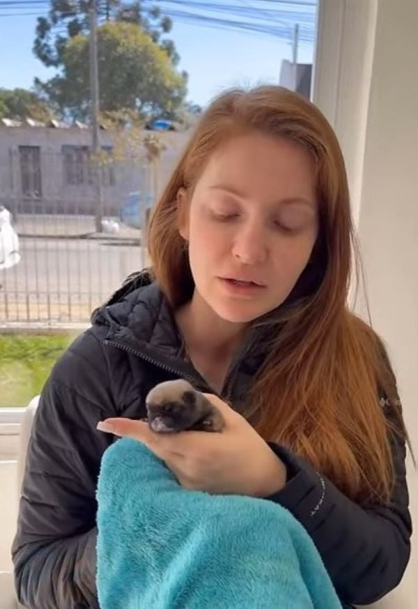 Abandoned Newborn Puppy Found in Trash: A Tale of Hope and Survival-1