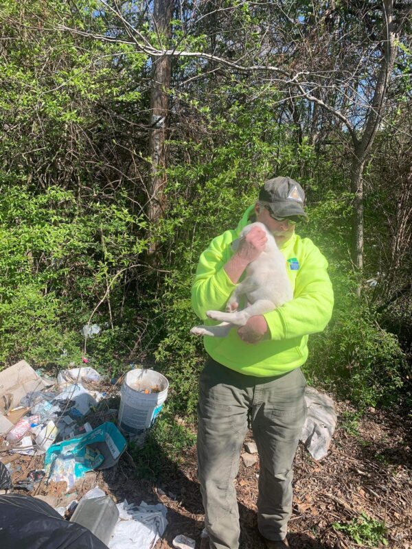 An Unlikely Discovery in the Trash That Will Melt Your Heart-1