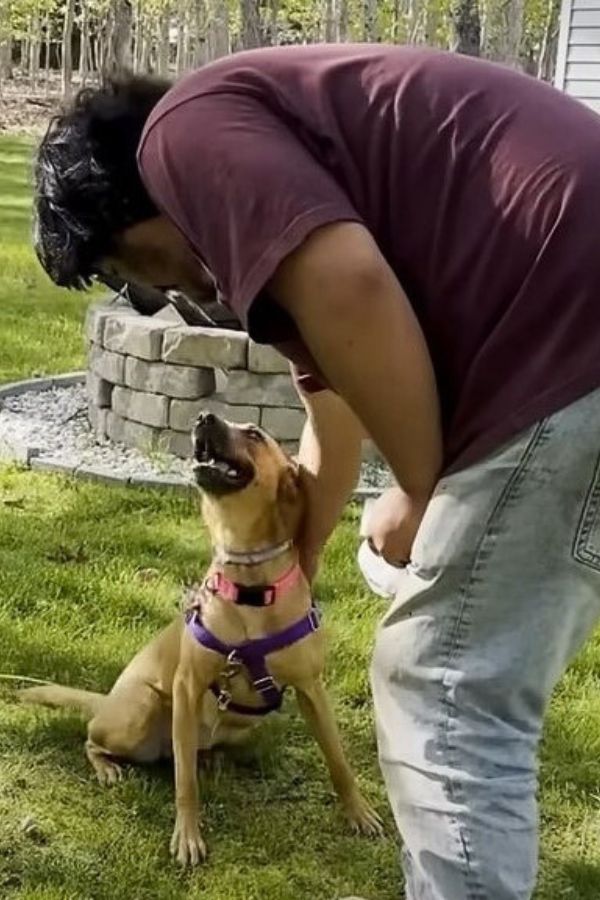 Anxious Shelter Dog Finds Unlikely Savior in Her New Best Friend-1