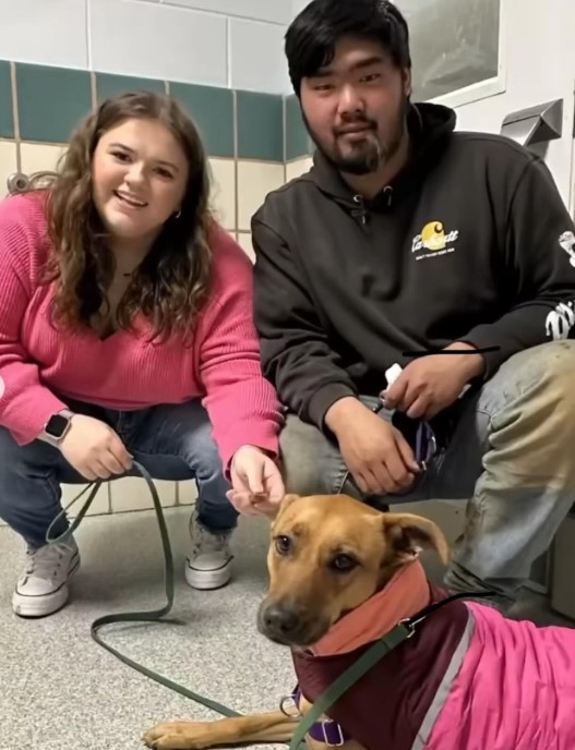 Anxious Shelter Dog Finds Unlikely Savior in Her New Best Friend-1