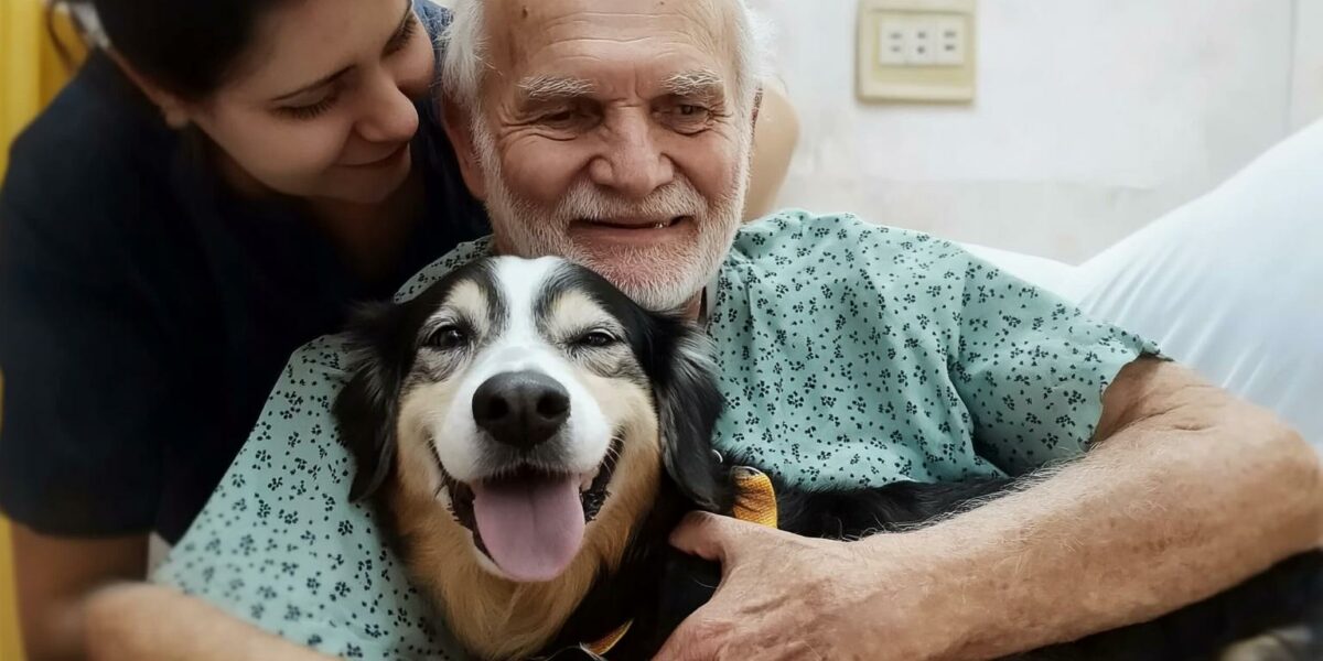 Discover the Miraculous Healing Power of a Canine Reunion