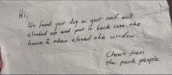 Dog's Daring Rooftop Escapade Leaves Owner Stunned by Unexpected Message-1